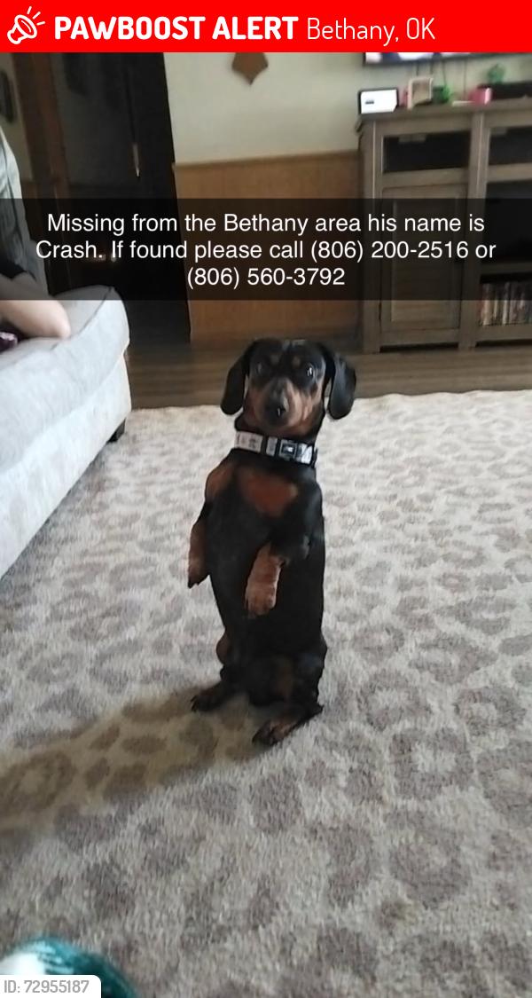Lost Male Dog last seen 26th and n donald ave, Bethany, OK 73008
