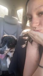 Reunited Female Dog last seen Dollar general , Rio Vista, TX 76093