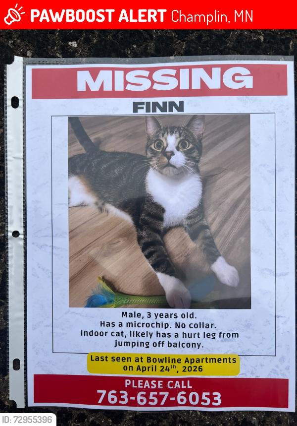 Lost Male Cat last seen Bowline apmts on 169 right before the bridge going into Anoka, Champlin, MN 55316