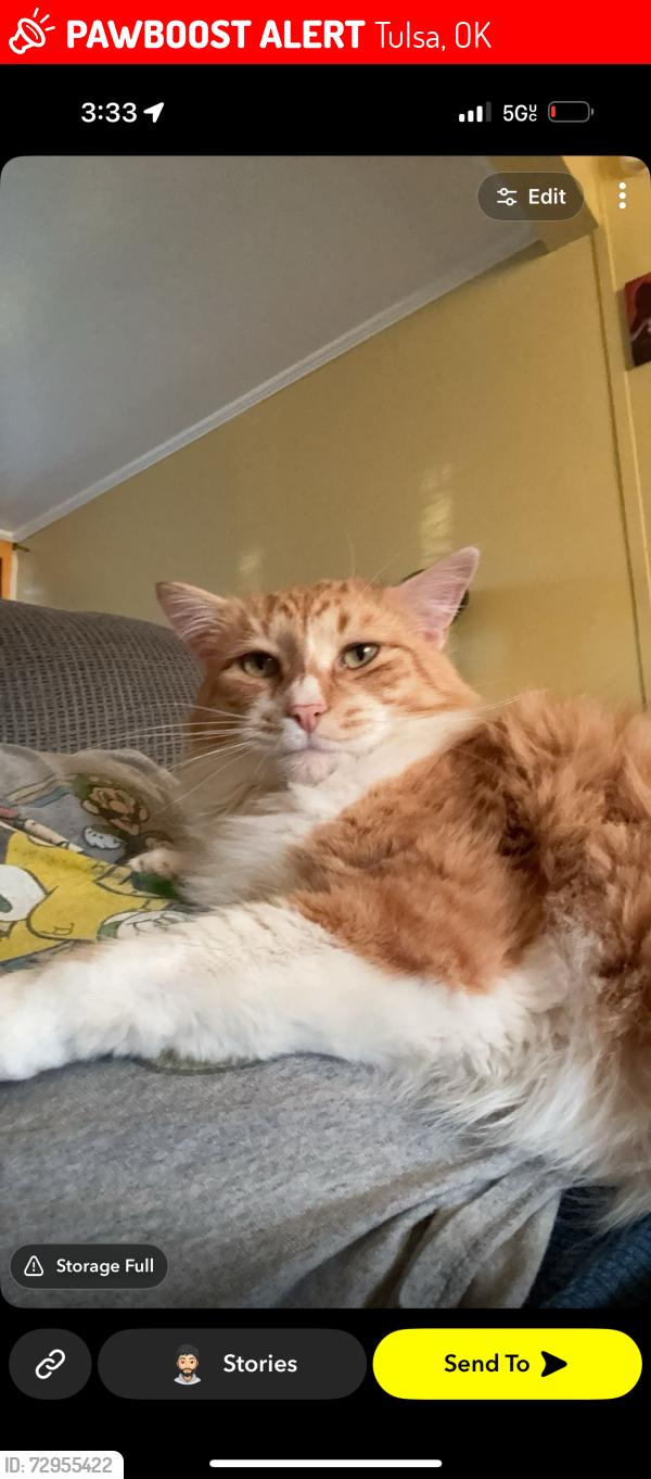Lost Male Cat last seen S 37th w ave, Tulsa, OK 74107
