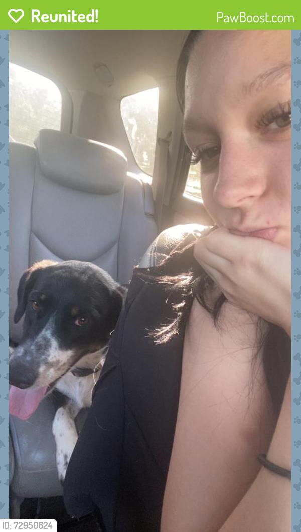 Reunited Female Dog last seen Dollar general , Rio Vista, TX 76093