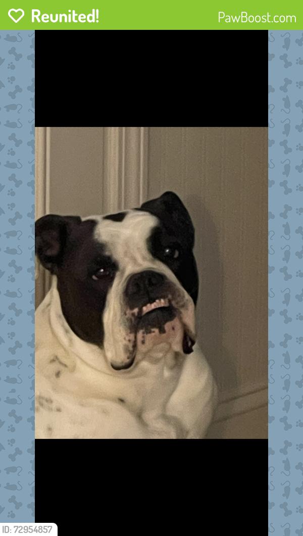Reunited Male Dog last seen Midkiff, Mid-Cities church, Grafa park , Midland, TX 79707