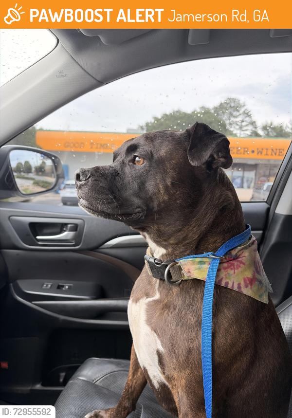 Found/Stray Male Dog last seen Kell High School, Jamerson Rd, GA 30066