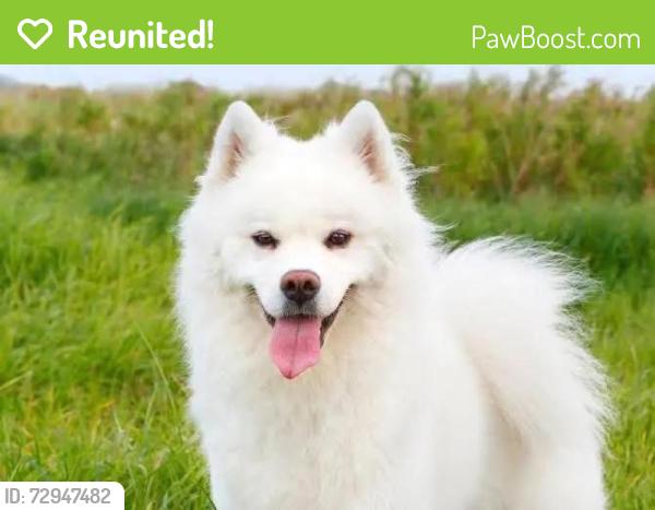 Reunited Male Dog last seen Bennet Lawson and 1187, Rendon, TX 76063