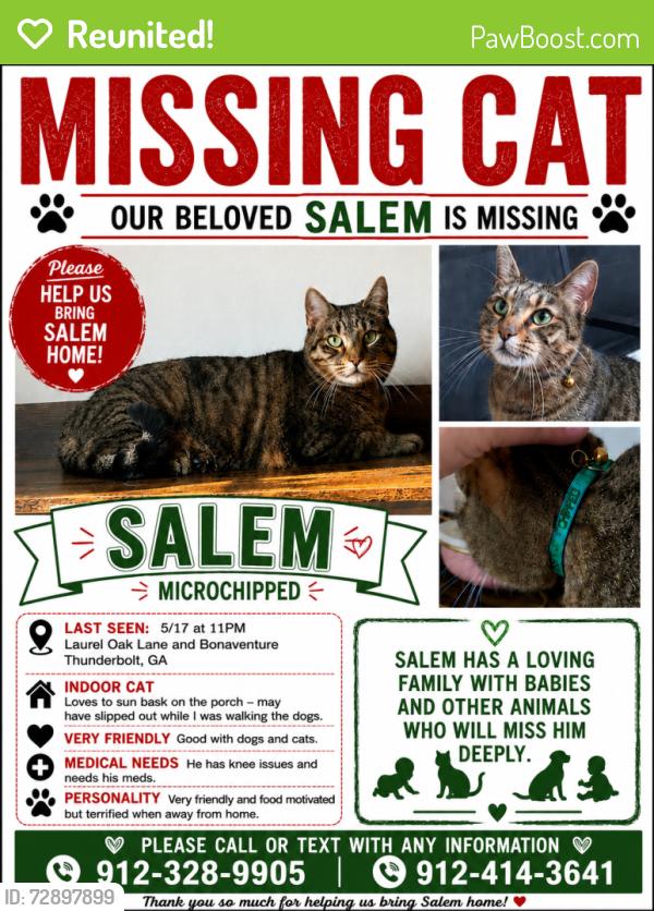 Reunited Male Cat last seen Bonaventure , Thunderbolt, GA 31404