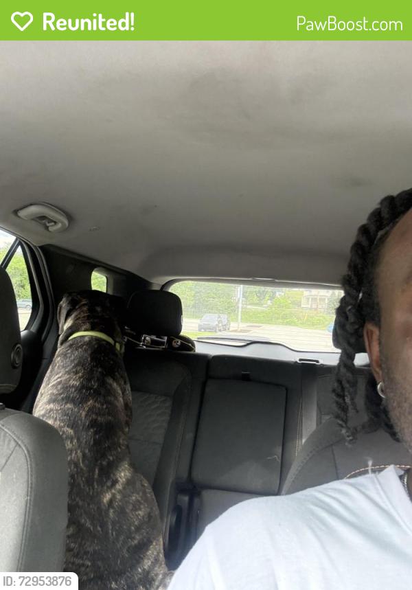 Reunited Male Dog last seen AHN montour sport complex, Moon Township, PA 15108