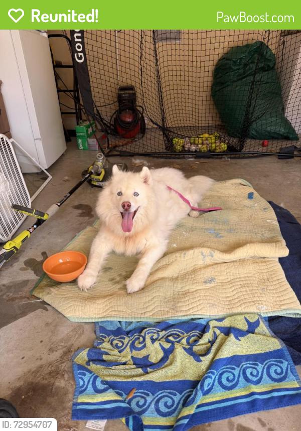 Reunited Unknown Dog last seen Mira Lagos, Grand Prairie, TX 75054