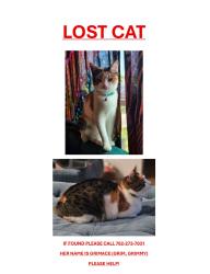 Lost Female Cat last seen Air Depot and Danforth, Edmond, OK 73034