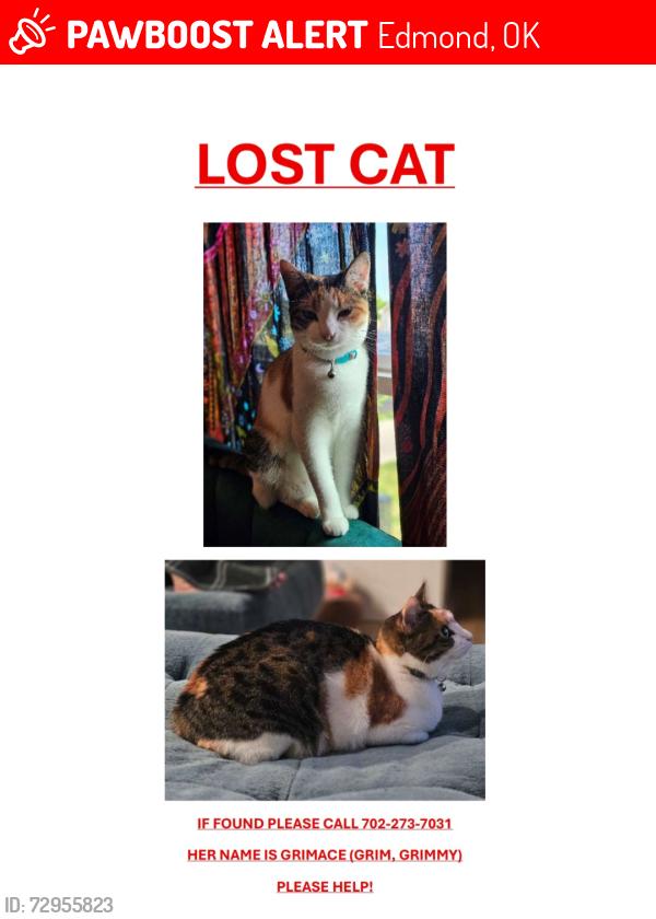 Lost Female Cat last seen Air Depot and Danforth, Edmond, OK 73034