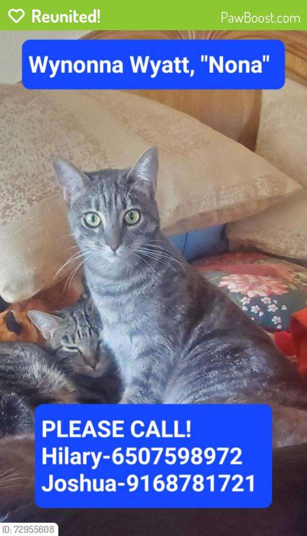 Reunited Female Cat last seen Kemper, Auburn, CA 95603