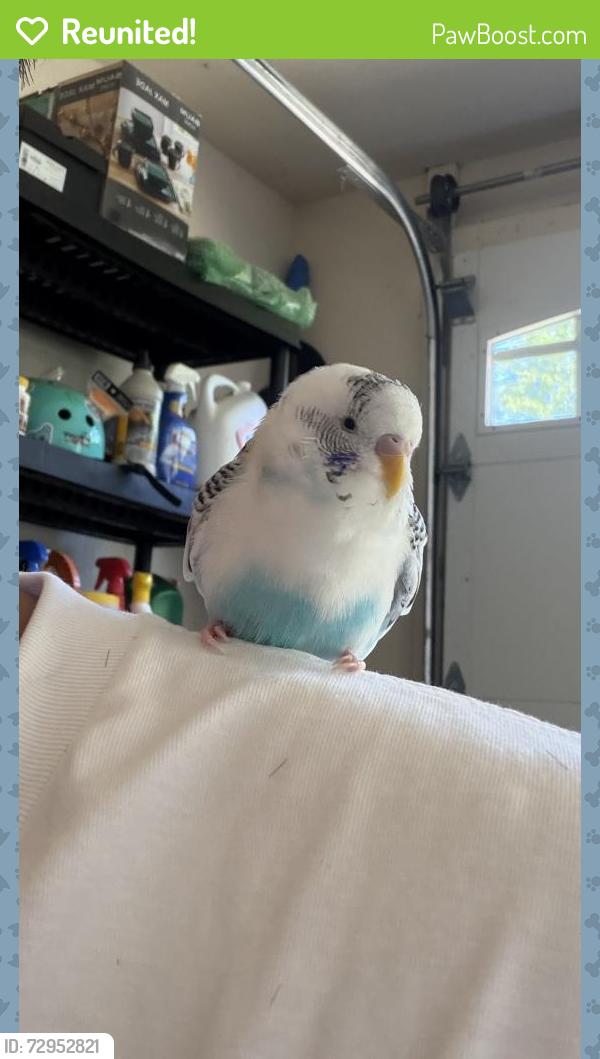 Reunited Unknown Bird last seen Highland Parish Community, Virginia Beach, VA 23456