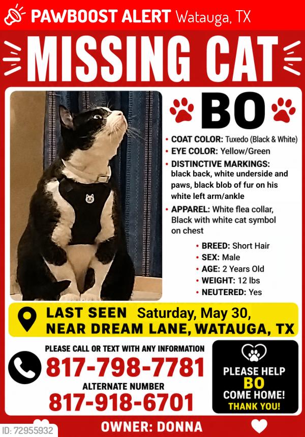 Lost Male Cat last seen Dream lane and skylark, Watauga, TX 76148