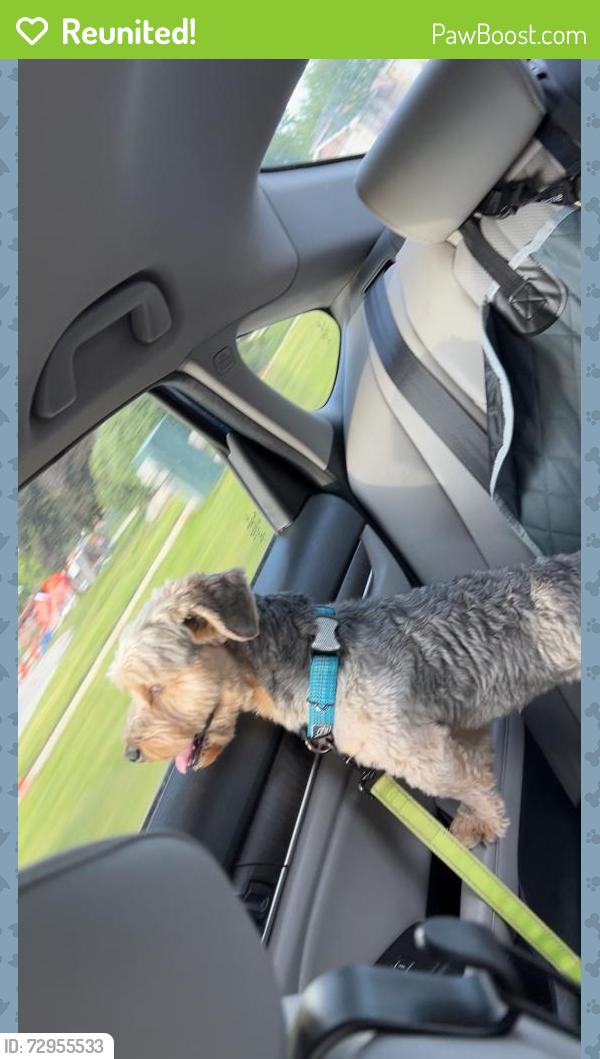 Reunited Male Dog last seen Michael drive/105th, Palos Hills, IL 60465