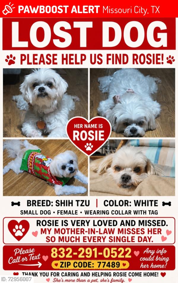 Lost Female Dog last seen Foxglove dr, Missouri City, TX 77489