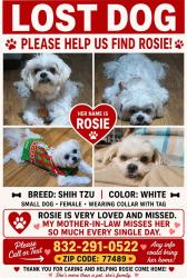 Lost Female Dog last seen Foxglove dr, Missouri City, TX 77489