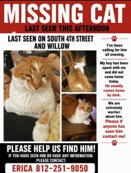 Lost Male Cat last seen S 4th street &willow, Terre Haute, IN 47802