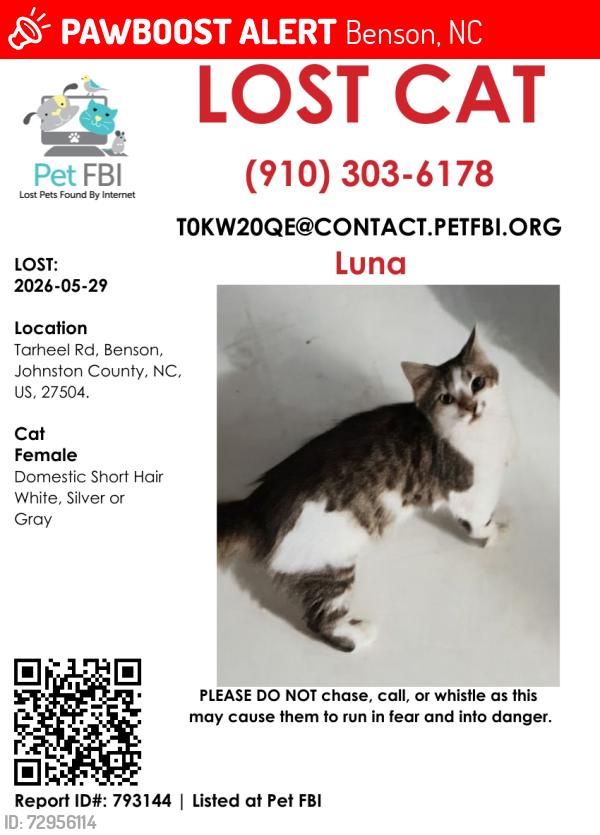 Lost Female Cat last seen Junction bar, Benson, NC 27504