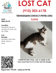 Lost Female Cat last seen Junction bar, Benson, NC 27504