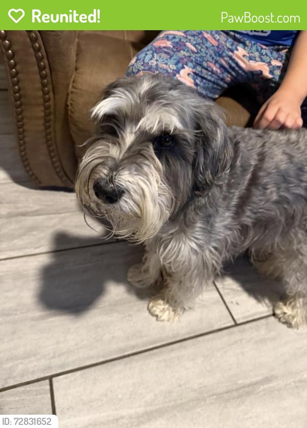 Reunited Male Dog last seen 102nd ave and Indianola, Avondale, AZ 85392
