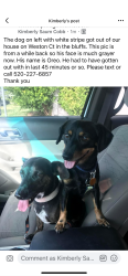 Lost Male Dog last seen Hwy 2288 , San Angelo, TX 76901