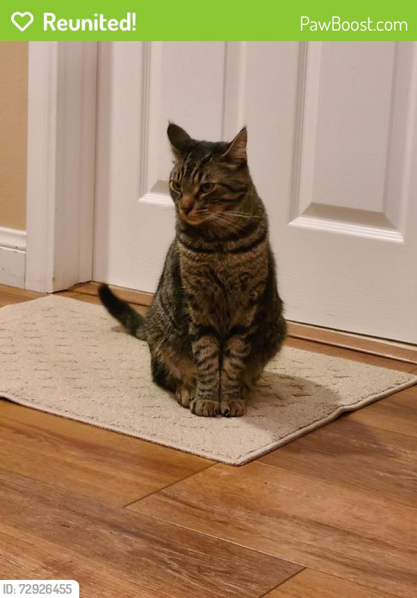 Reunited Male Cat last seen Valley Center, San Dimas, CA 91773