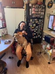 Lost Female Dog last seen Earl and Wakefield , Saint Paul, MN 55106