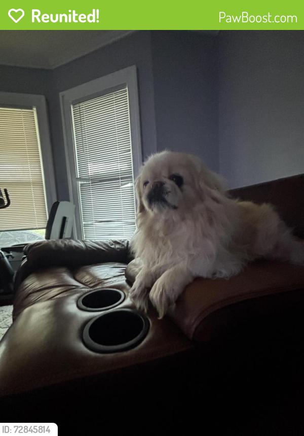 Reunited Male Dog last seen Xenia ave, Dayton, OH 45410