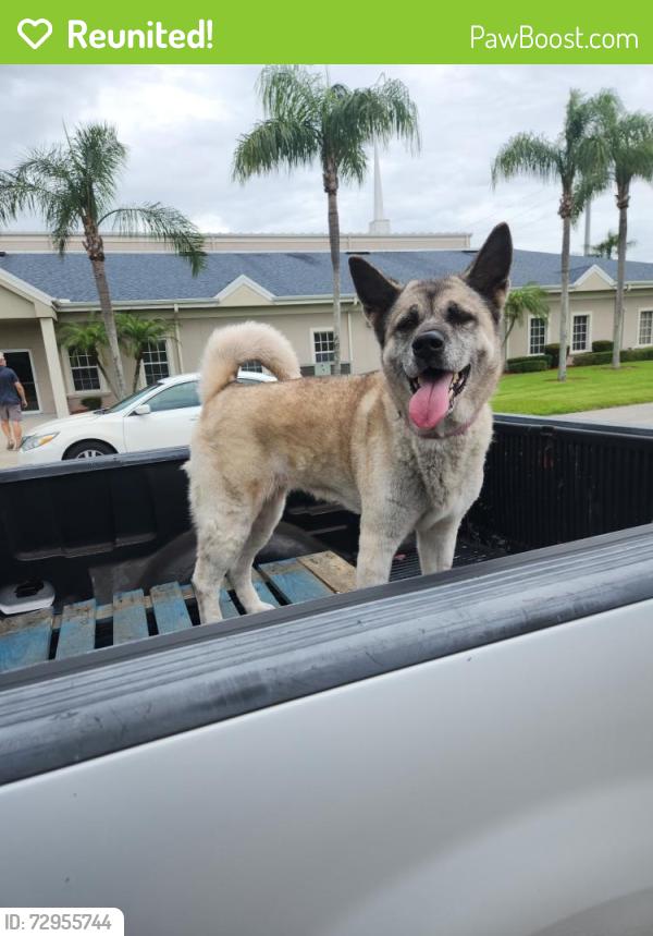 Reunited Female Dog last seen By eau gallie first baptist, Melbourne, FL 32935
