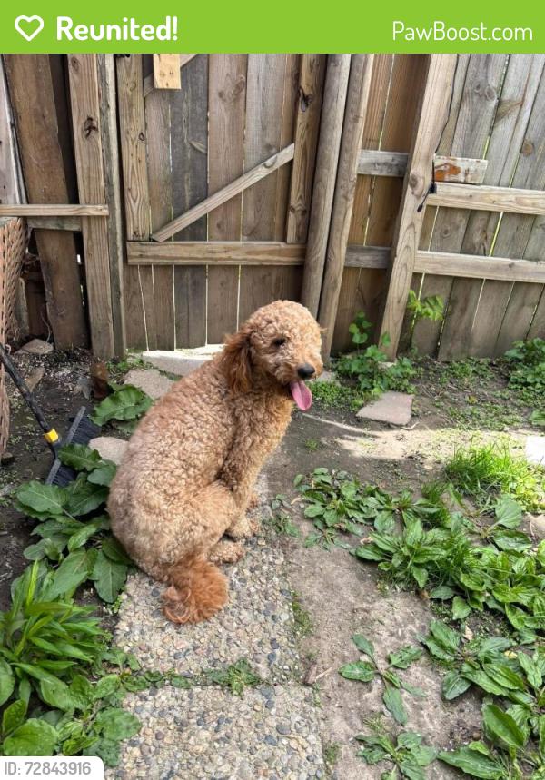 Reunited Unknown Dog last seen Pontiac , Fort Wayne, IN 46802