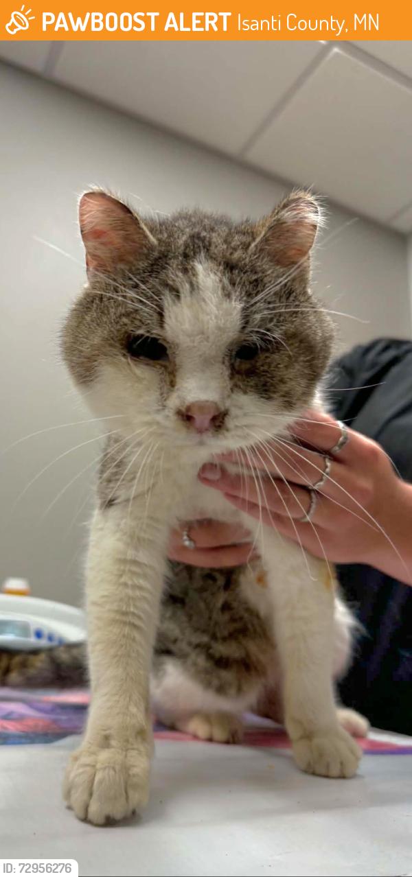 Found/Stray Male Cat last seen Flamingo St, Isanti County, MN 55040