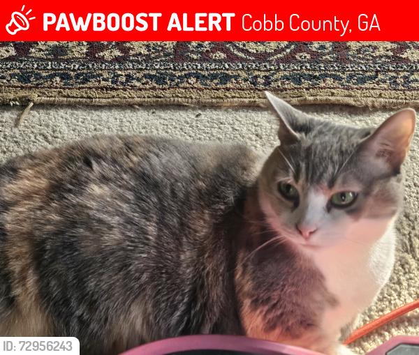 Lost Female Cat last seen Ravenwood Dr. Marietta, GA 30066, Cobb County, GA 30066