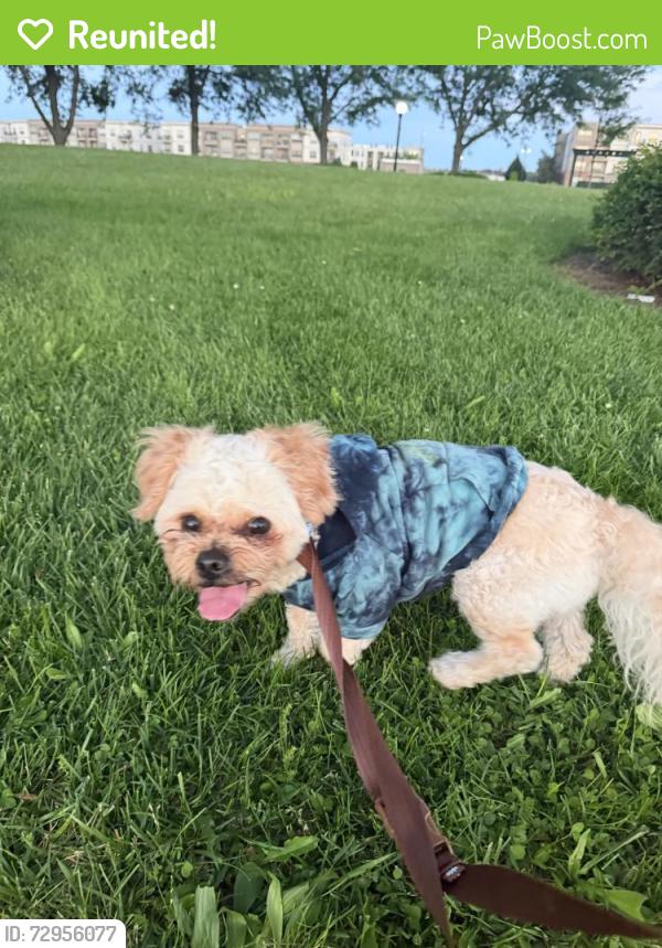Reunited Male Dog last seen Riverscape Park, Dayton, OH 45404