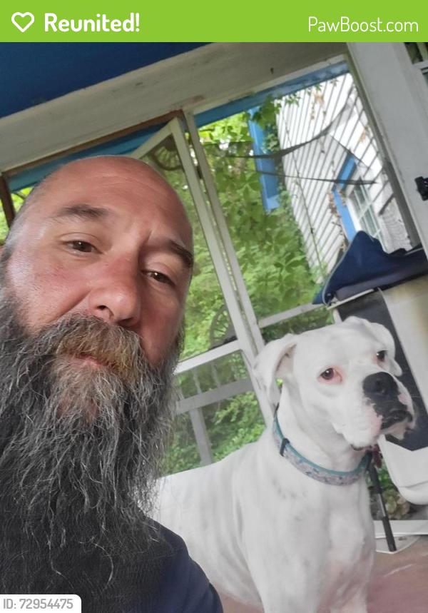 Reunited Female Dog last seen Sunset drive , Carthage, NC 28327