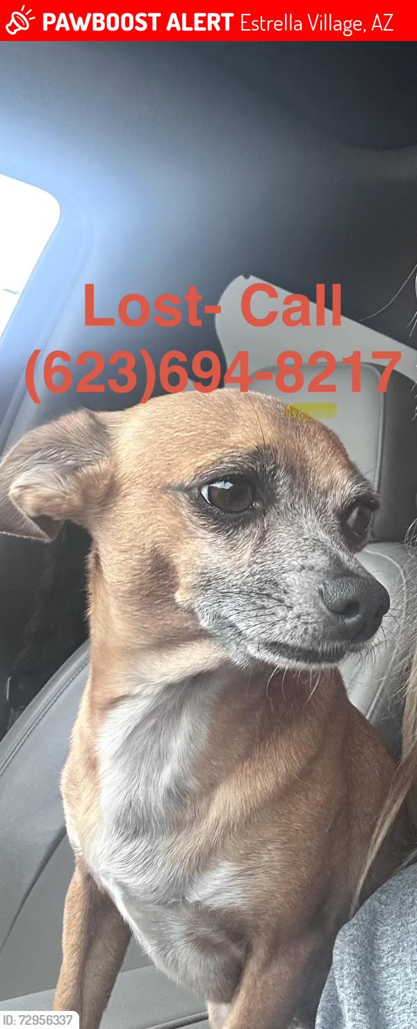 Lost Male Dog last seen 71st ave and broadway rd, Estrella Village, AZ 85043