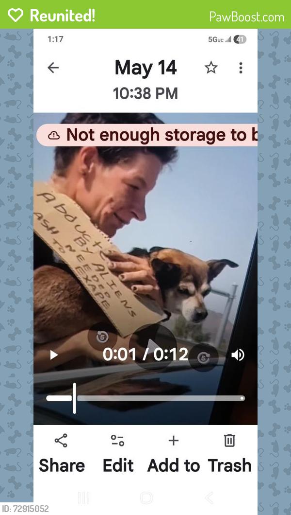 Reunited Female Dog last seen Interstate  117   panhandling , Glendale, AZ 85301