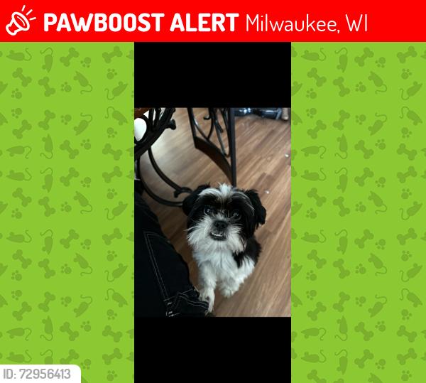 Lost Female Dog last seen Near W Lapham blvd , Milwaukee, WI 53204