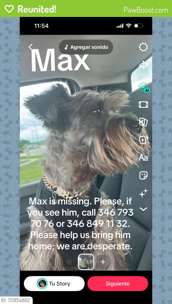 Reunited Male Dog last seen Near Colima Dr Houston tx 77083, Houston, TX 77083