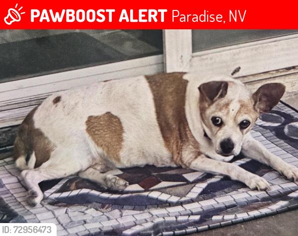 Lost Female Dog last seen S. Twilight Vista Dr. & Windmill Ln, Prescott, AZ 86303