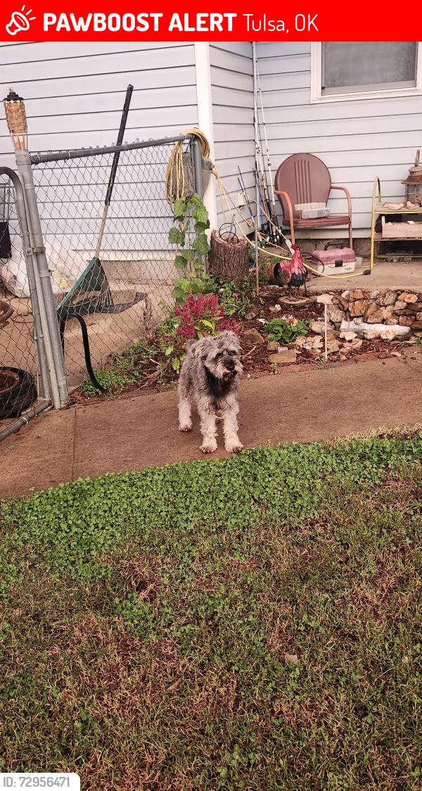 Lost Male Dog last seen Admiral & 193rdE Ave, Tulsa, OK 74108
