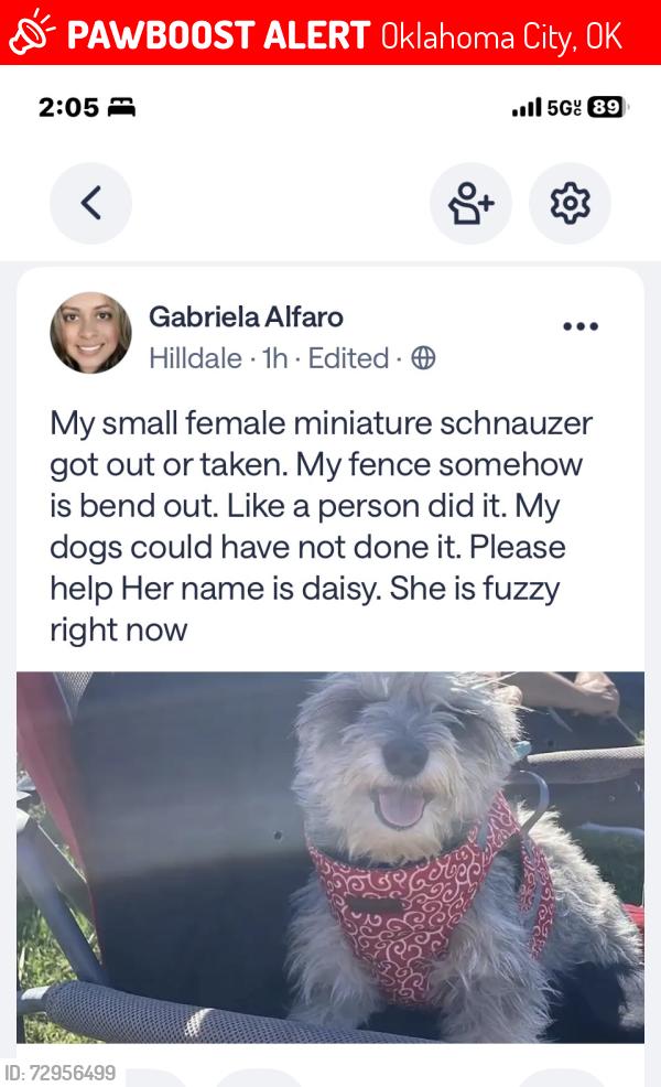 Lost Female Dog last seen Nw 16 and North sterling avenue by Hilldale Elementary school , Oklahoma City, OK 73127