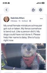 Lost Female Dog last seen Nw 16 and North sterling avenue by Hilldale Elementary school , Oklahoma City, OK 73127