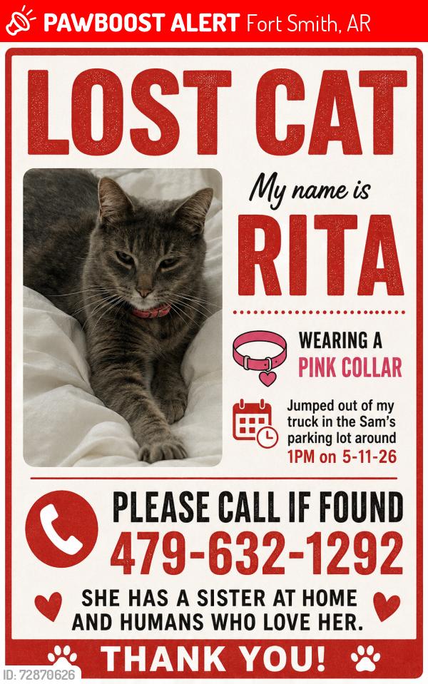 Lost Female Cat last seen Sam’s Club Roger’s Ave , Fort Smith, AR 72903