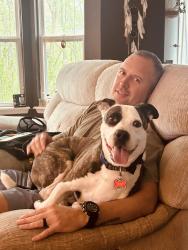 Lost Male Dog last seen Split Rail ct, Wentzville, MO 63385