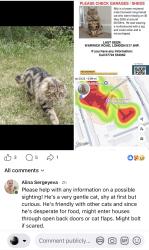 Lost Male Cat last seen Warwick Road, Higham Hill, Greater London, England E17 5NP