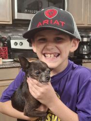 Reunited Female Dog last seen County Road 699 in Farmersville near 380, Farmersville, TX 75442