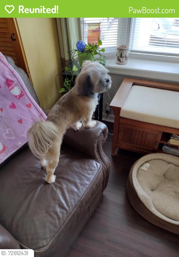 Reunited Male Dog last seen Tarredge Rd, Durham, NC 27712