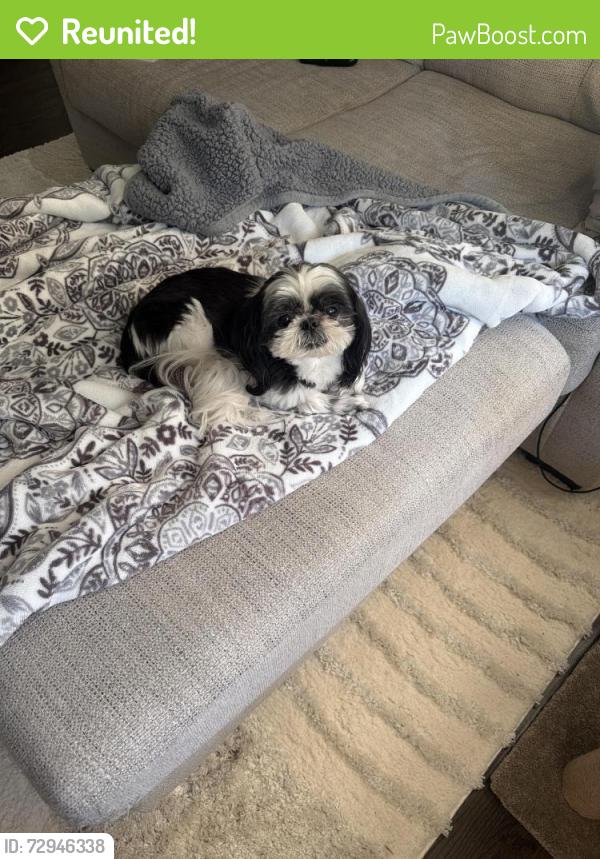 Reunited Male Dog last seen Overbrook Elementary / Carroll Road, Charleston, WV 25314
