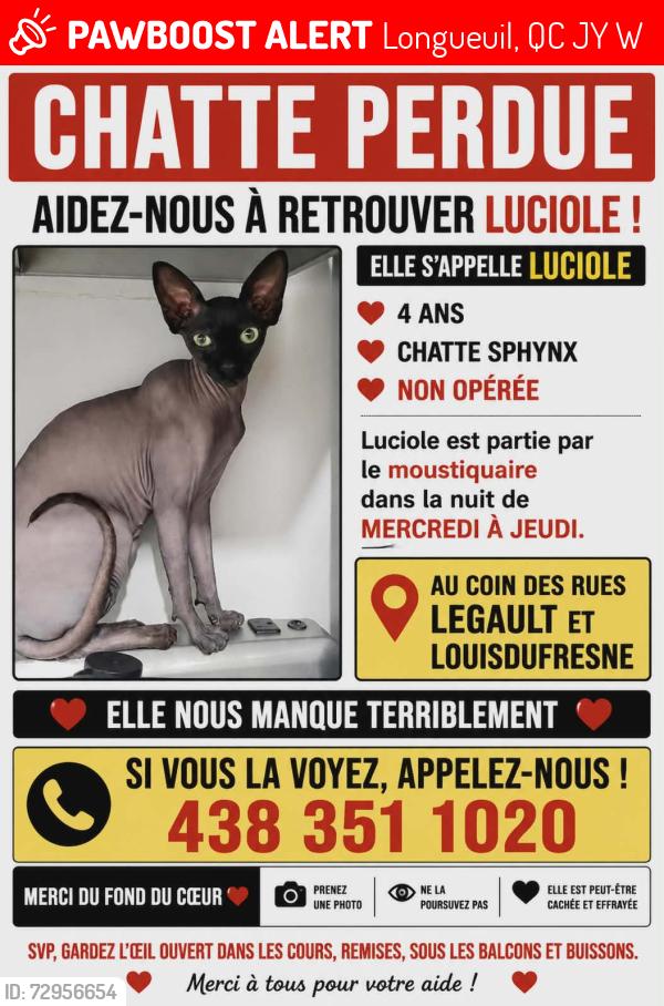 Lost Female Cat last seen Legault  louis -dufresne, Longueuil, QC J3Y 3W8