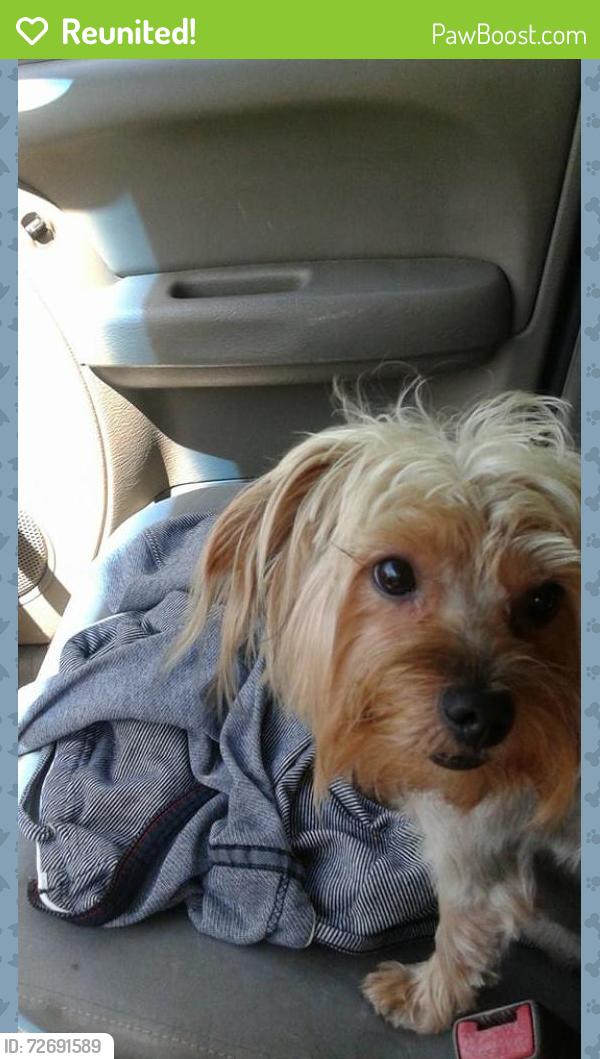 Reunited Male Dog last seen  Riverview ave & Middle street, Dayton, OH 45402