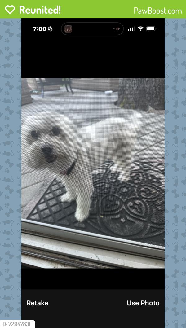 Reunited Female Dog last seen Landrum, Folsom, CA 95630
